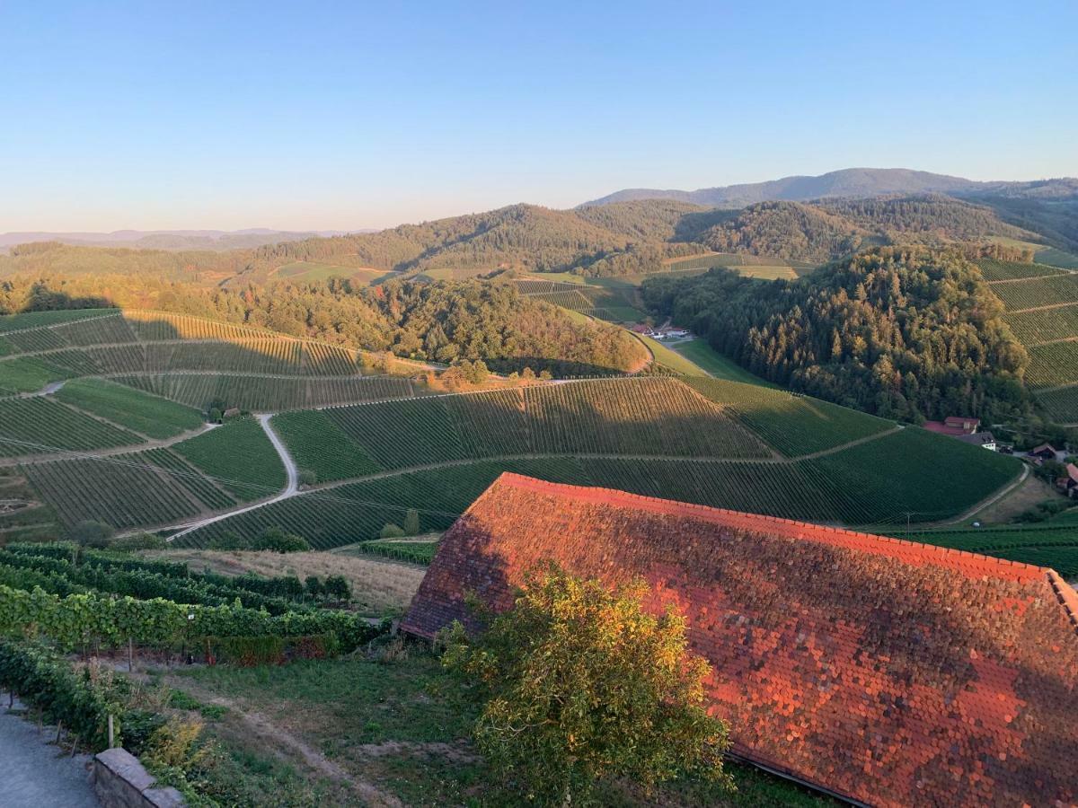 Ferienhaus Laura Renchen Dış mekan fotoğraf